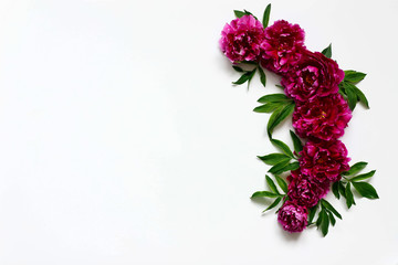 flower  composition of peonies on a white background