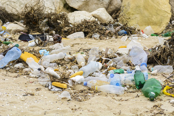 Plastic bottles and trash on a beach. environmental disaster.