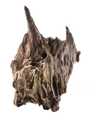 Piece of well worn driftwood on a white background