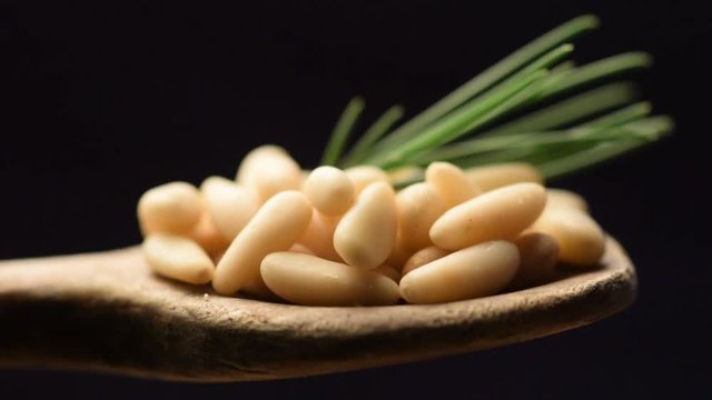 M&auml;nnyn siemen Pinoli Pinienkern Pine nut حبوب الصنوبر Pignon de pin Pinolo Orzeszki piniowe Pi&ntilde;&oacute;n Pijnboompit video Кедровый орех 