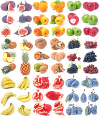  Fruit collection