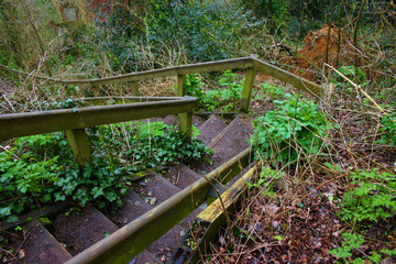 stairs steps