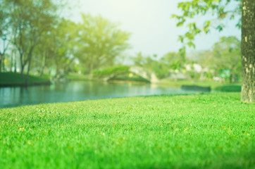 Empty space green grass blurred outdoor park.