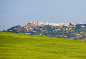 Fototapeta na wymiar Montescaglioso (Italy) - The green countryside of the old town in province of Matera, Basilicata region, southern Italy