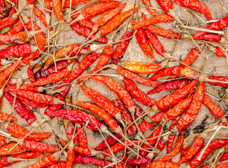 Dried chili peppers background.  Thai food seasoning. Close up and macro
