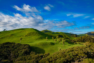 Fototapeta na wymiar Green hill with blue sky, view of South Island, New Zealand