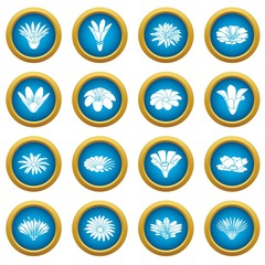 Detailed flower icons set. Simple illustration of 16 detailed flower vector icons for web