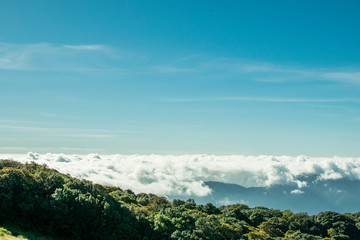 Sky, mountain, forest, fog and beautiful views.