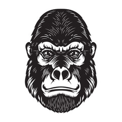 Gorilla ape head illustration on white background. Design elements for poster, emblem, sign.