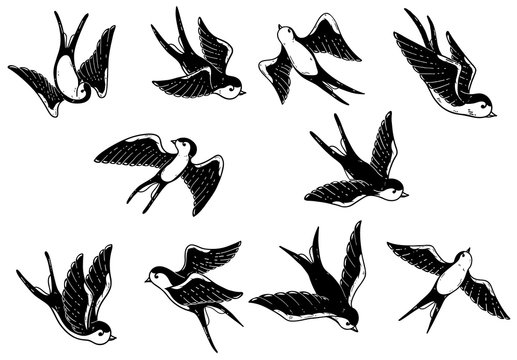 Set of hand drawn swallow illustrations on white background. Design elements for poster, card.
