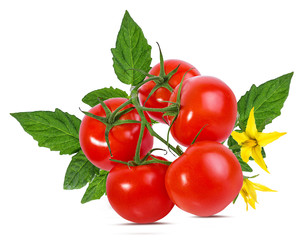 tomato isolated on white background