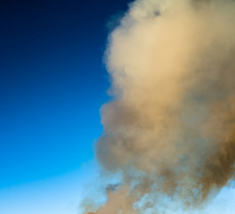 Obraz premium Photo of thick heavy brown yellow smoke from burning branches of pine tree, birch, spruce and other trees from swedish forest with flying ash and other fire products pieces in big bonfire, blue sky