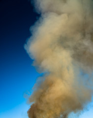Photo of thick heavy brown yellow smoke from burning branches of pine tree, birch, spruce and other trees from swedish forest with flying ash and other fire products pieces in big bonfire, blue sky