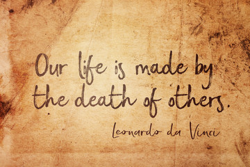 Our life Leonardo