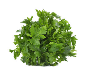 Bunch of fresh green parsley on white background