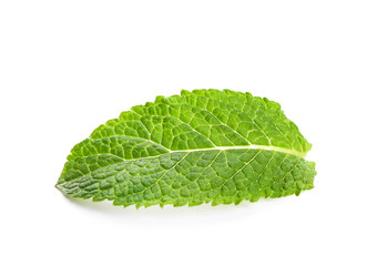 Obraz premium Fresh green mint leaf on white background