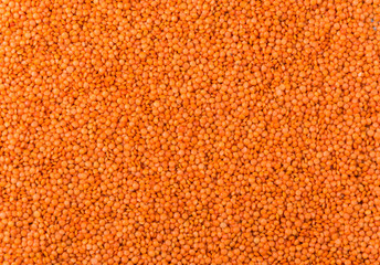 Heap of red lentils