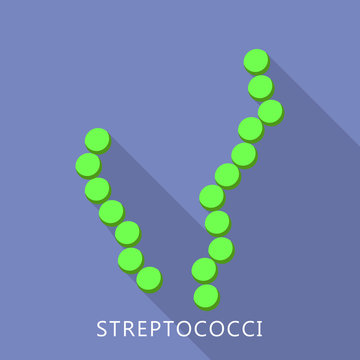 Streptococci icon. Flat illustration of streptococci vector icon for web design