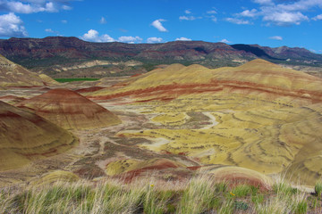 Painted Hills Cove