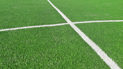 Obraz premium soccer field, football field