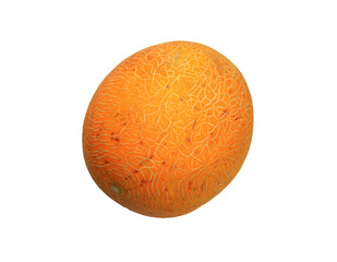 Yellow melon isolated