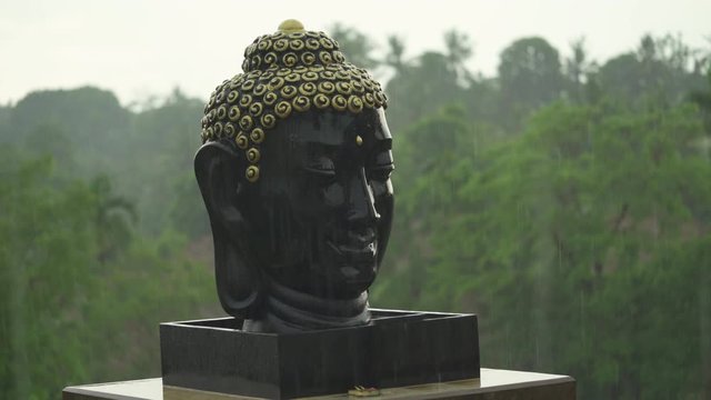 Buddha face in the rain, Buddha head sculpture.