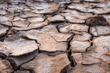 Cracked earth in summer, global warming