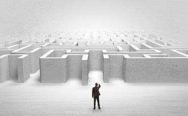 Businessman trying to decide which entrance to choose at the maze
