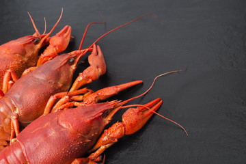  Red boiled crayfish on stone slate dark background. 