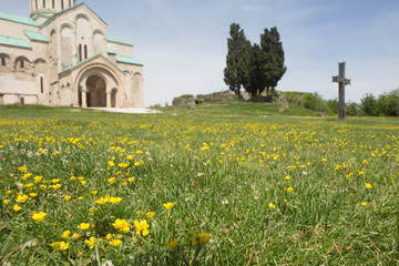 Obraz premium Yellow flower. Attractive spring panorama of old temple in Georgia