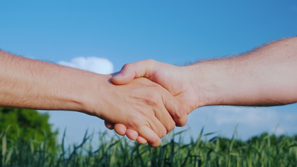 Two male farmers shake hands. Against the background of a green field and a blue sky. Deal in...