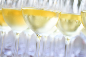 White wine in wine glasses
