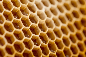 Honeycomb texture