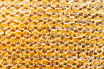 Honeycomb texture