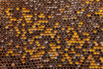 Honeycomb texture