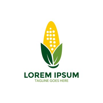 corn logo. icon. vector illustration