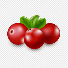 Granberry With Transparent Background