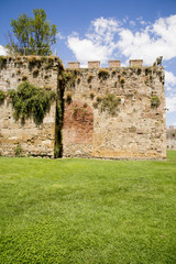 Fototapeta na wymiar New city walls in Pisa - Tuscany - Italy