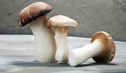 raw mushrooms on grey table. oyster fresh mushroom