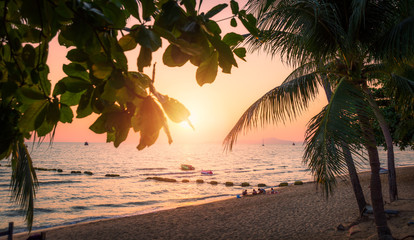 Beach with palm trees at sunset. Jomtien beach in Thailand.