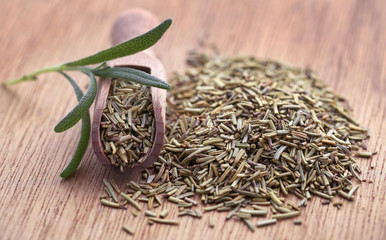 Fresh organic rosemary