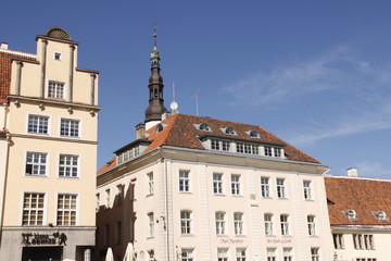 Fototapeta premium Tallinn - Plac Ratuszowy