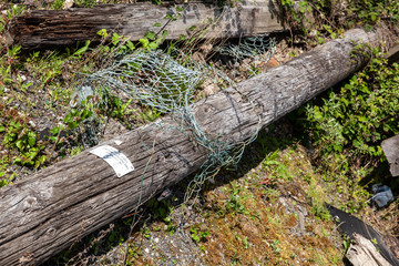 Old disused poles and rotten wood.