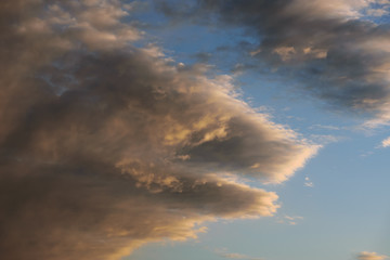 Fototapeta na wymiar Dramatic sunset sky - a cloud similar to the head of an animal.