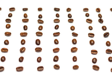 coffee beans top view copy space, white back ground