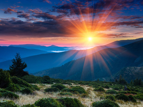 Fototapeta Panoramic view of colorful sunrise in mountains. Concept of the awakening wildlife, romance,emotional experience in your soul, joy in mundane life.