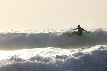 surfer riding a wave in Fuerteventura, Canary Islands, Spain