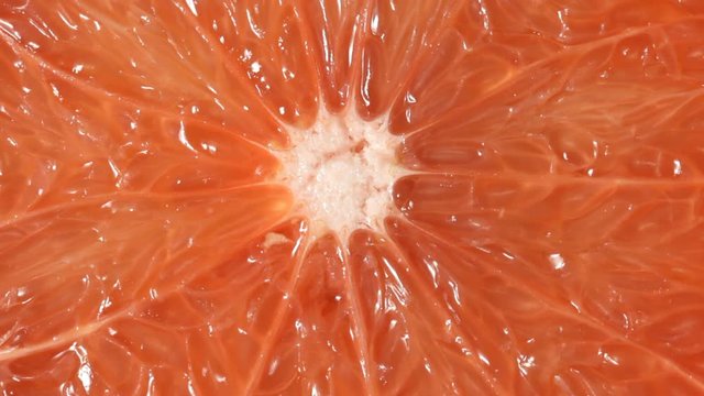Close up of rotating Grapefruit. No sound.
