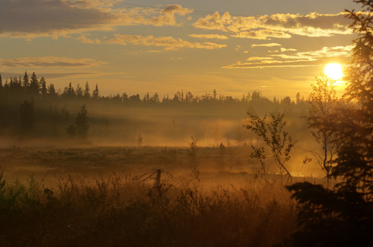 Misty morning © Jarno