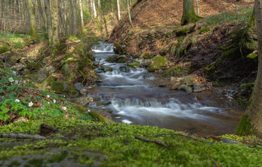 Little german canyon at the mountain Rhoen © Matthias